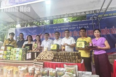 Thanh Hóa tham gia 5 gian hàng tại Hội chợ xúc tiến thương mại HTX khu vực miền Bắc
