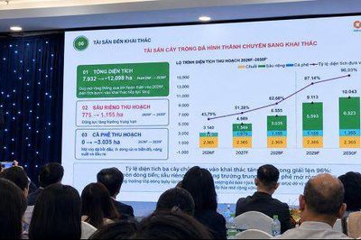 HGI của Bầu Đức IPO với giá 60.600 đồng/cp và câu chuyện chuỗi giá trị nông nghiệp xuyên biên giới