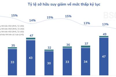 Tỷ lệ sở hữu của nhà đầu tư nước ngoài trên thị trường Việt Nam về mức thấp kỷ lục