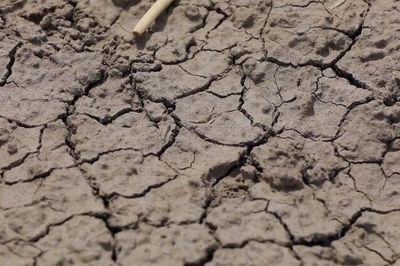 El Niño 2026 có thể mạnh nhất trong lịch sử