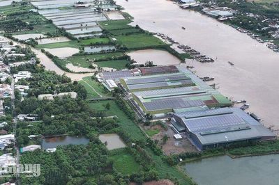 Về Cù lao Ông Hổ, nhớ một người con quê hương