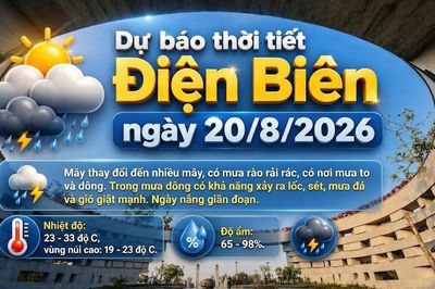 Bản tin Dự báo thời tiết ngày 20/8/2026