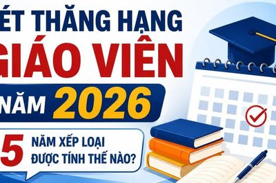 Infographic Xét thăng hạng giáo viên năm 2026: 5 năm xếp loại được tính thế nào?
