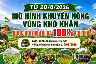 Từ 20/8/2026, mô hình khuyến nông tại vùng khó khăn được hỗ trợ tối đa 100% chi phí