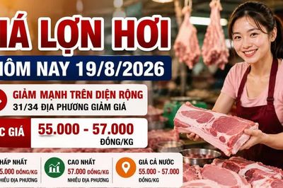 Giá lợn hơi hôm nay 19/8/2026 giảm sâu, mức 58.000 đồng/kg biến mất