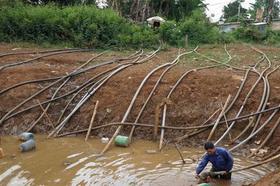 Nông dân chủ động sản xuất trước nguy cơ El Nino