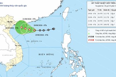 Áp thấp nhiệt đới trên Biển Đông ngày 19/08/2026: Gió mạnh cấp 7, giật cấp 9, biển động mạnh