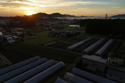 Nông dân Nhật Bản chuyển sang làm việc đêm để tránh nắng nóng