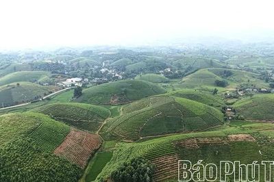 Minh Đài phát huy lợi thế, tạo bứt phá cho sản phẩm OCOP