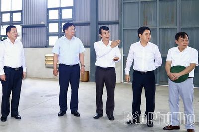 Nhân rộng mô hình sản xuất nông nghiệp hiệu quả