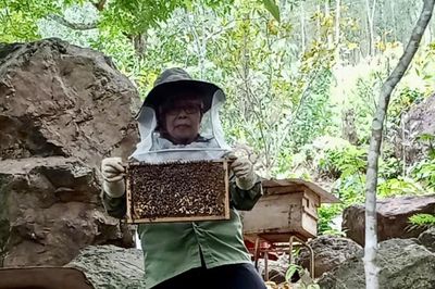Phụ nữ làm giàu trên dãy Trường Sơn