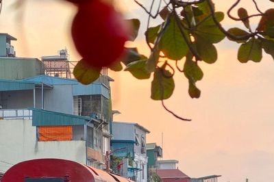 Gần 100.000 lượt khách trải nghiệm Tàu Hà Nội 5 cửa ô