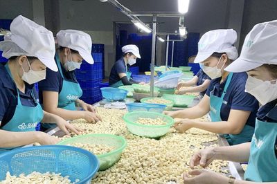Nghịch lý ngành hàng xuất khẩu tỷ USD, doanh nghiệp vẫn lo 'đói' nguyên liệu
