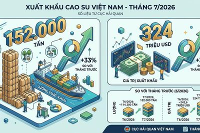 Ngành cao su và bài toán tăng giá trị thay vì tăng sản lượng