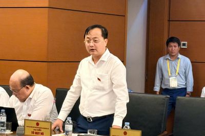 Đại biểu Quốc hội Tô Huy Vũ: Sửa Luật Đất đai cần thiết lập 'van an toàn' cho tài sản bảo đảm và dòng vốn tín dụng