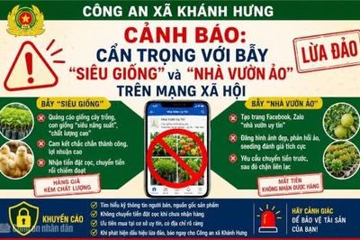 Cảnh giác thủ đoạn lừa bán 'siêu giống' trên mạng xã hội