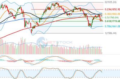 Chứng khoán 19/8: Sắc đỏ áp đảo, VN-Index mất mốc 1.730 điểm