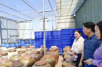 Kiểm tra tiến độ sản xuất thử nghiệm nước mắm chay từ nấm trên địa bàn tỉnh Quảng Trị