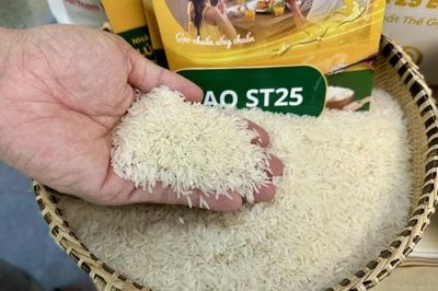 Gạo ST25 Việt Nam chính thức lên kệ hệ thống bán buôn tại Đức