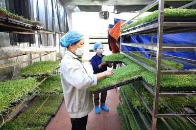 Siết chặt quản lý vật tư để bảo đảm chất lượng nông sản