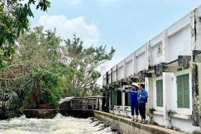 Chủ động tiêu úng, bảo vệ lúa và rau màu