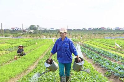 Bảo đảm khung thời vụ với cơ cấu dịch chuyển tích cực