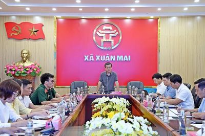 Xuân Mai trồng mới gần 20ha rừng