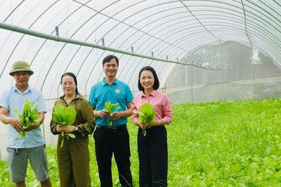 Phó Chủ tịch Ủy ban MTTQ Việt Nam thành phố, Chủ tịch Hội Nông dân thành phố Hà Nội Phạm Hải Hoa: Xây dựng những hạt nhân nông dân số ngay tại cơ sở