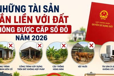 Những tài sản gắn liền với đất không được cấp sổ đỏ năm 2026