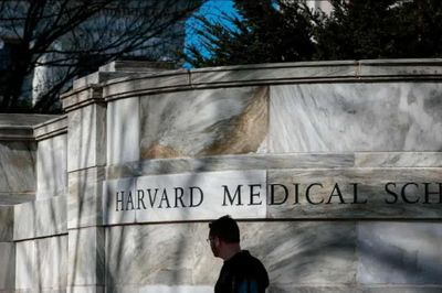Đại học Harvard chi 53 triệu USD dàn xếp bê bối lấy cắp thi thể hiến tặng đem bán