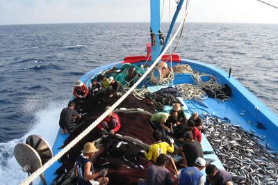 Cả nước vào tháng cao điểm, quyết tâm gỡ 'thẻ vàng' IUU