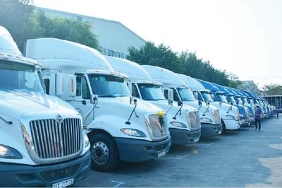 Có hơn 421.000 bằng D, CE, vì sao doanh nghiệp vẫn thiếu tài xế?