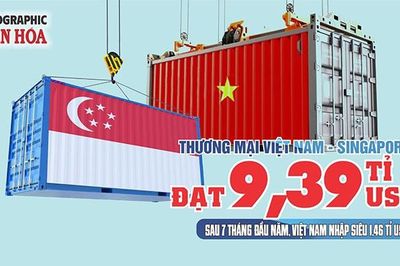 Việt Nam - Singapore đạt 9,39 tỉ USD, nhập siêu 1,46 tỉ USD
