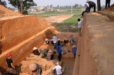 Cổ Loa trong 'dòng chảy' thành lũy Việt Nam