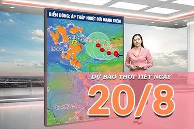 [Video] Dự báo thời tiết ngày 20/8/2026: Áp thấp nhiệt đới gây biển động, Bắc Bộ và Bắc Trung Bộ mưa lớn