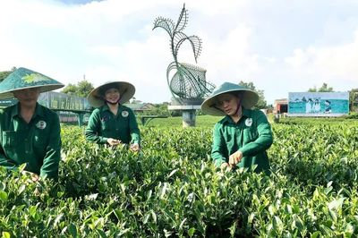 Chuyển đổi số trong sản xuất nông nghiệp