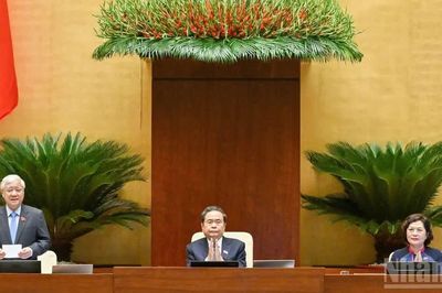 Luật Nhà ở phải bảo đảm cả an toàn chất lượng công trình và quyền sở hữu tài sản của chủ sở hữu