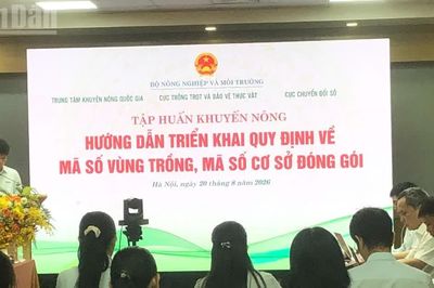 Tập huấn triển khai quy định về mã số vùng trồng, mã số cơ sở đóng gói