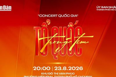 Những điều thú vị về 'Tổ quốc trong tim' mùa 2