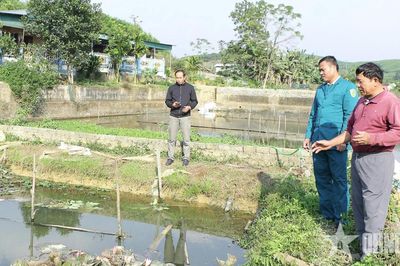 Biến đất hoang thành mô hình kinh tế hiệu quả