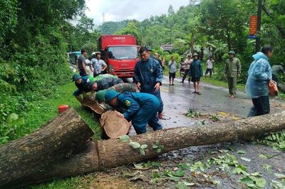 Nghệ An: Mưa lớn cuốn trôi cầu, nhiều nơi bị ngập lụt, chia cắt