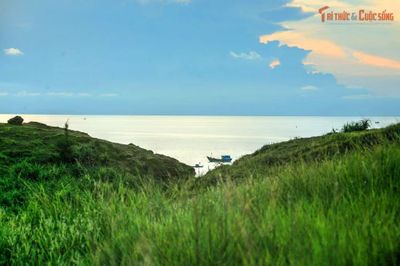 Việt Nam trông như thế nào 40 triệu năm trước?