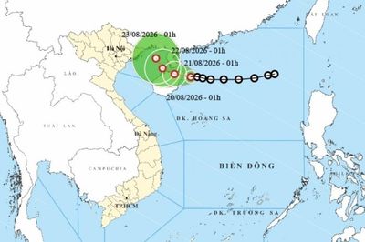 Cập nhật diễn biến áp thấp nhiệt đới sáng 20/8: Sẽ mạnh thêm khi di chuyển trên vùng biển phía Đông Vịnh Bắc Bộ
