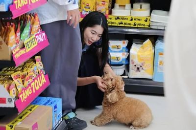 Thị trường thú cưng Việt Nam nằm trong nhóm có tốc độ tăng trưởng ấn tượng nhất khu vực châu Á
