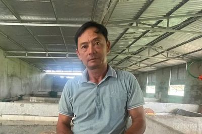 Sau thất bại tiền tỷ, anh nông dân nuôi ếch thành công nhờ bí quyết riêng