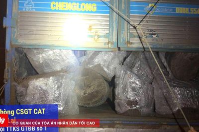 CSGT Gia Lai phát hiện xe chở gỗ không có hóa đơn, nguồn gốc hợp pháp