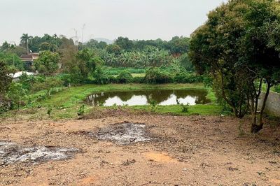 Được chuyển 360m2 đất sang đất ở nhưng không đủ tiền nộp: Người dân cần làm gì?