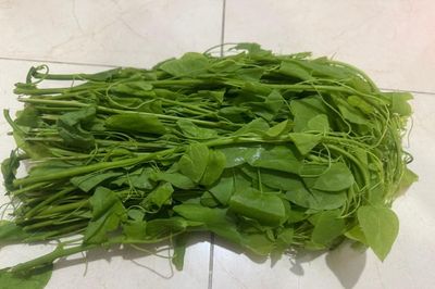 5 loại cây có tên lạ là vị thuốc nhiều tác dụng bất ngờ