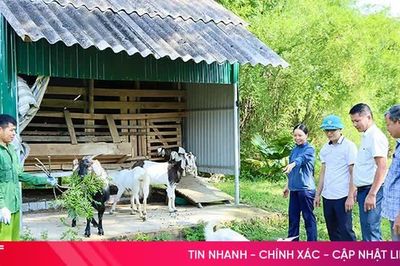 Hà Tĩnh dành hơn 9,8 tỷ đồng hỗ trợ mô hình sinh kế cho người dân