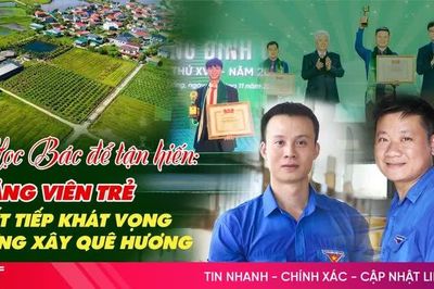 Học Bác để tận hiến: Đảng viên trẻ viết tiếp khát vọng dựng xây quê hương